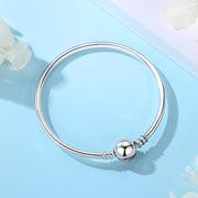 Silver Charm Bracelet