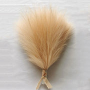 Silk Pampas Grass Bouquet (30 pcs)